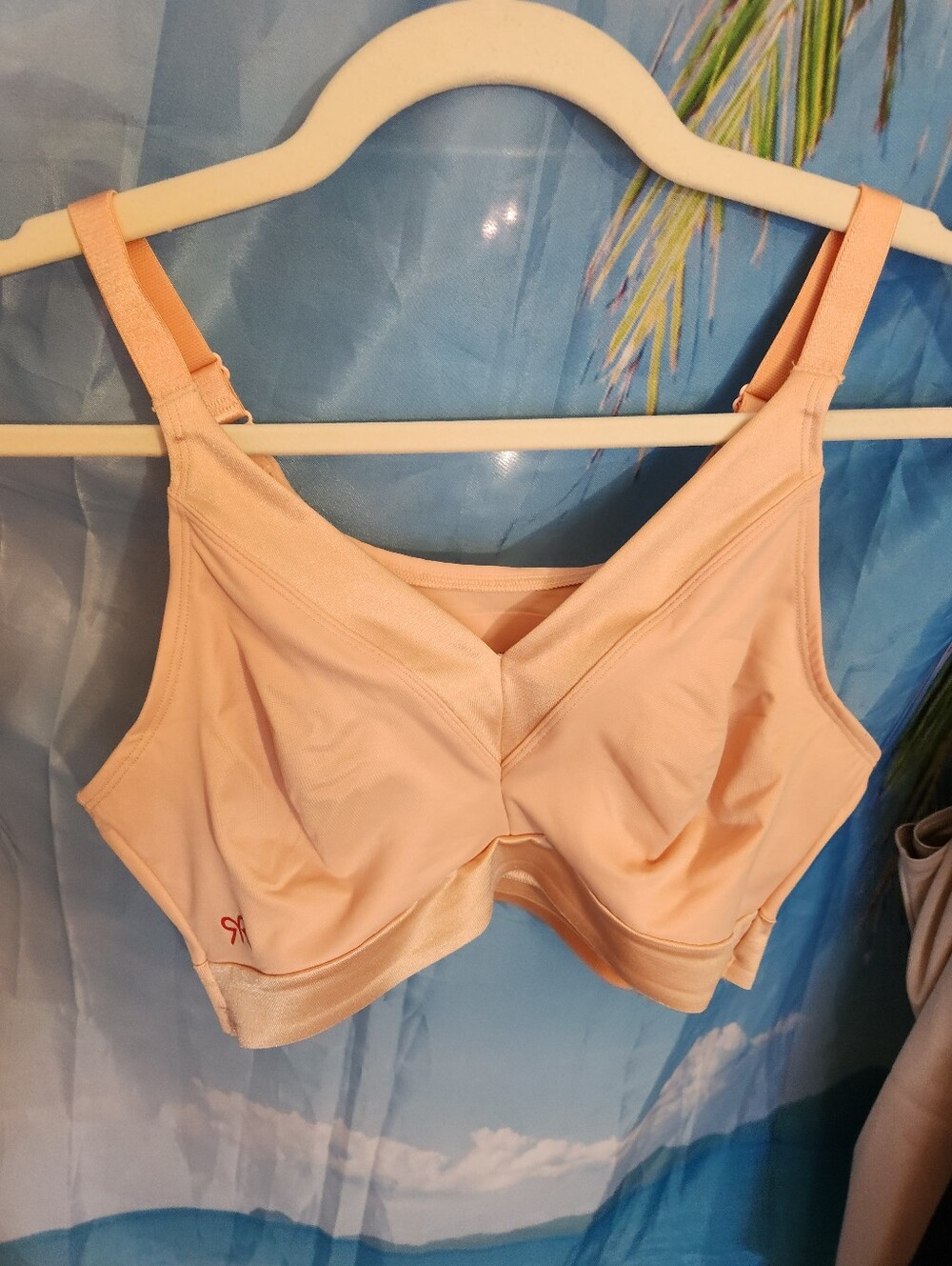 🆕️ Size 36 RUBY RIBBON Athena Demiette PEACH